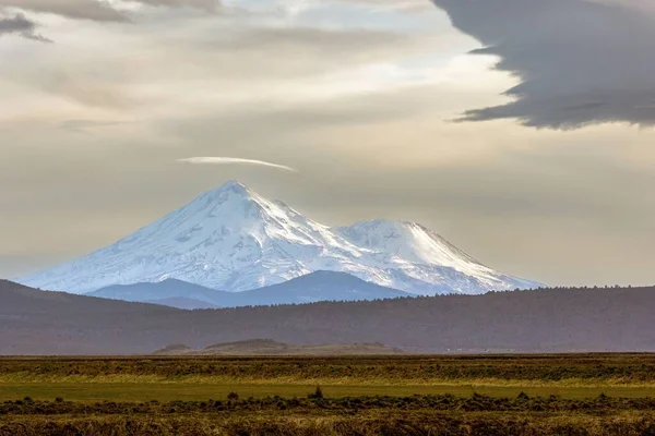 Festői Kilátás Örökzöld Mező Gyönyörű Mount Shasta Háttérben — Stock Fotó