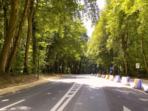 Uma Estrada Vazia Através Floresta Bélgica — Fotografia de Stock