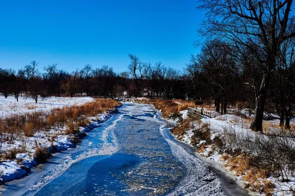Vacker Utsikt Över Frusen Flod Omgiven Träd Vinterdag — Stockfoto