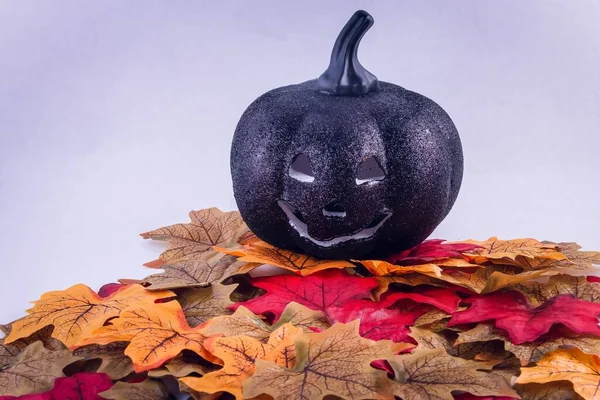 Evil Grinning Black Pumpkin Autumn Tone Leaves Isolated White — Stock Photo, Image