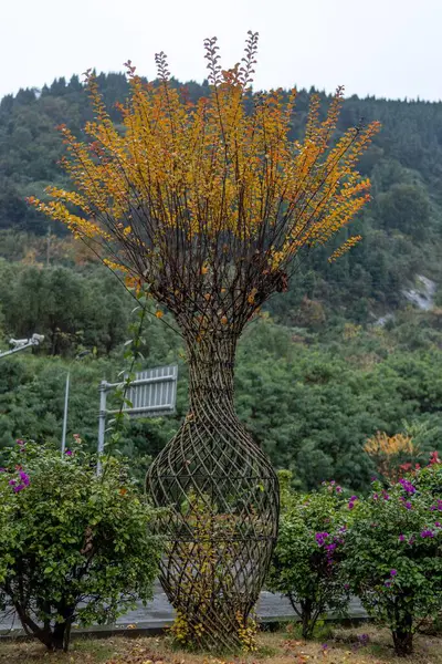Een Verticaal Schot Van Een Boom Met Prachtige Gele Bloemen — Stockfoto