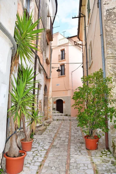 Vue Verticale Une Vieille Rue Étroite Monte San Biagio Par — Photo