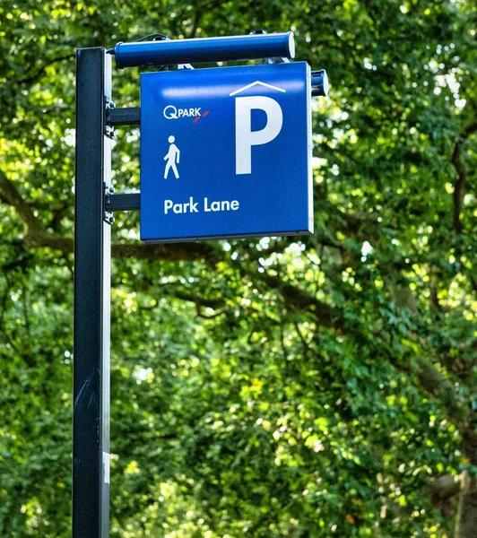 在伦敦 一个带有树木的公园巷标志的垂直截图 — 图库照片