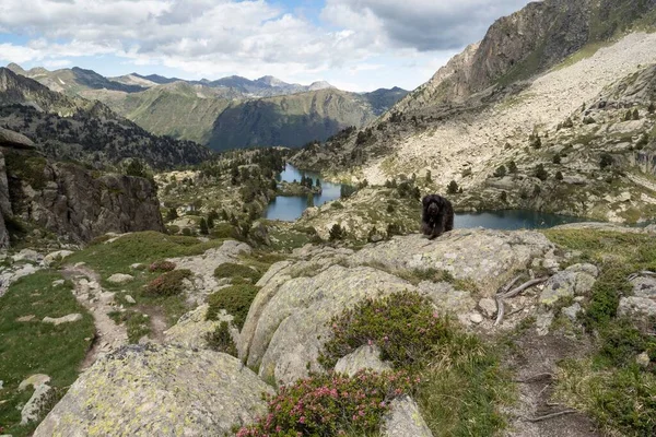 Horská Krajina Jezery Štíty Gerber Valley Aiguestortes Estany Sant Maurici — Stock fotografie