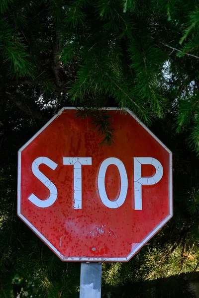 Egy Gyönyörű Stop Tábla Alatt — Stock Fotó