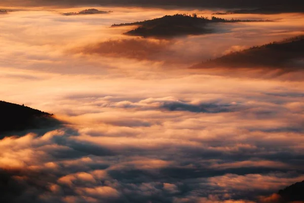 森の山のふもとに雲の海の空中ドローンショット — ストック写真