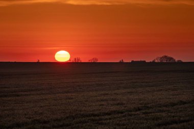 Çimlerin üzerinde kırmızı ve turuncu bir gün batımı güzel bir kare.