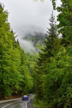 Romanya 'nın Capatyan dağlarında otoyolda bir araba sürüyor
