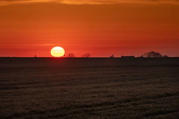 Een Prachtig Shot Van Een Rode Oranje Zonsondergang Het Grasveld — Stockfoto