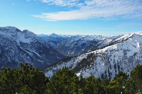 Çam Ağaçlarıyla Çevrili Ammergau Alpleri Karla Kaplı — Stok fotoğraf