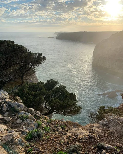 Naturskøn Udsigt Seascape Vilde Planter Vokser Hav Klipper Ved Solnedgang - Stock-foto