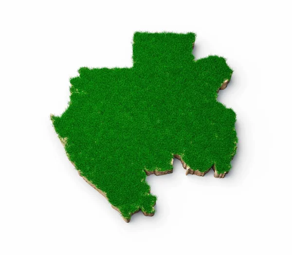 Illustration Gabon Karta Med Grönt Gräs Och Sten Marken Konsistens — Stockfoto