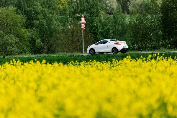 White Hatchback Driving Road Next Yellow Flowering Rapeseed Field — Stock Photo, Image
