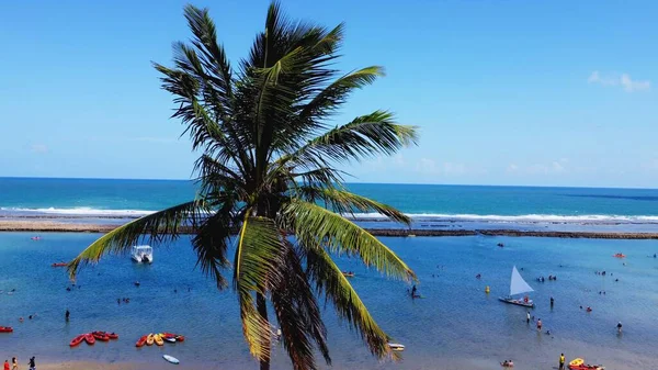 Coco Praia Muro Alto Porto Galinhas Pernambuco Brasil — Fotografia de Stock
