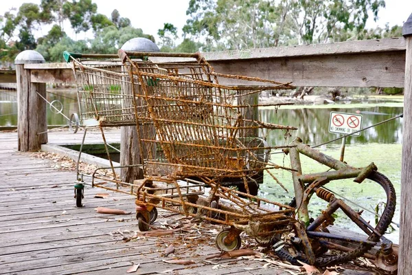 Vecchio Carro Seta Arrugginito Abbandonato Sulla Riva Lago Paludoso — Foto Stock