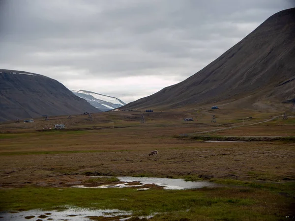 Μια Μαγευτική Θέα Του Svalbard Και Jan Mayen Στο Spitsbergen — Φωτογραφία Αρχείου
