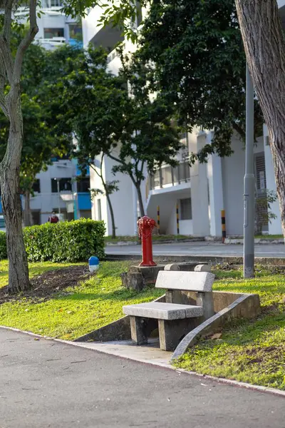 Singapur Daki Parkta Bir Bank — Stok fotoğraf