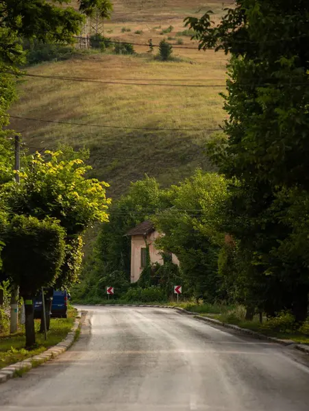 Une Route Campagne Nature — Photo