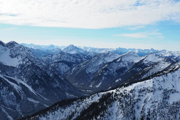 Вид Воздуха Заснеженные Альпы Шайнбергшпитце Аммергау Окруженный Соснами — стоковое фото