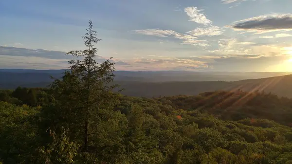 Letecký Bezpilotní Snímek Lesa Bolehlav Daniel Mountain New Hampshire Usa — Stock fotografie