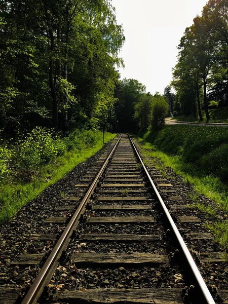 Beau Plan Vertical Vieux Chemin Fer Entouré Verdure Luxuriante Dans — Photo