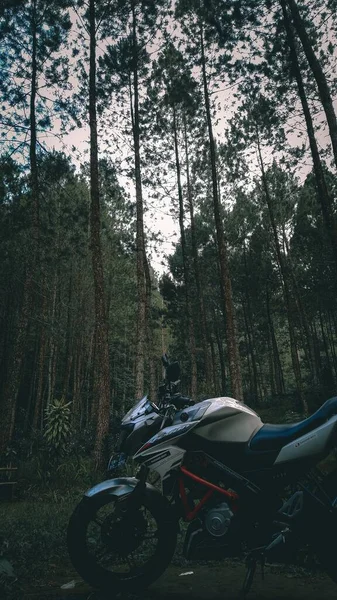 Pionowe Ujęcie Motocykla Środku Lasu — Zdjęcie stockowe