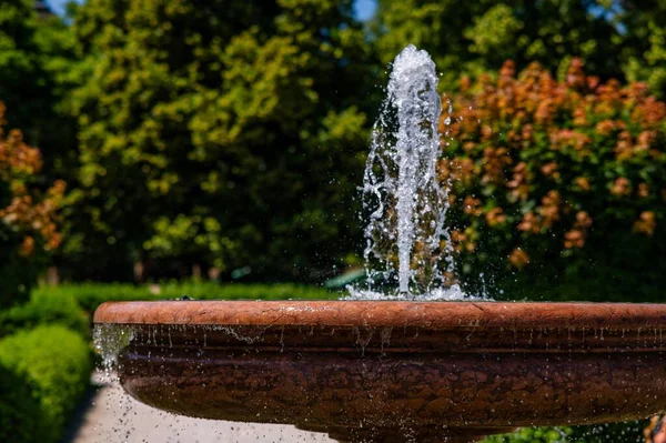Plan Rapproché Une Fontaine Dans Parc Hofgarten Munich Allemagne — Photo