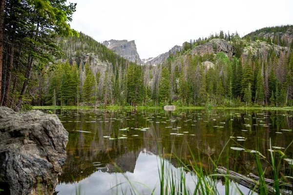 Hochauflösende Landschaftsfotos Aus Colorado Sommer — Stockfoto