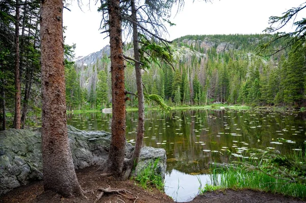 Yazın Colorado Dan Yüksek Çözünürlüklü Manzara Fotoğrafları — Stok fotoğraf