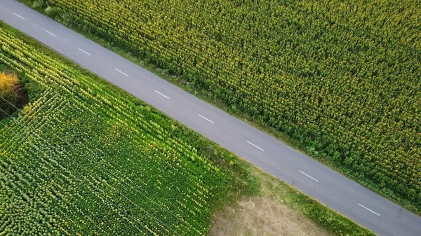 田舎の直線道路と農地 — ストック写真