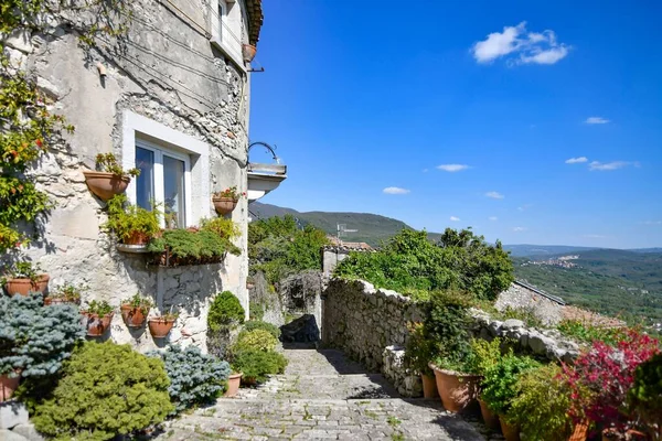 Una Casa Antigua Estrecha Calle Con Hermosas Plantas Pueblo Morcone — Foto de Stock