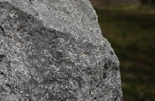 Primer Plano Una Roca Con Liquen — Foto de Stock