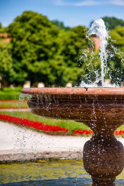 Plan Vertical Une Fontaine Dans Parc Hofgarten Munich Allemagne — Photo
