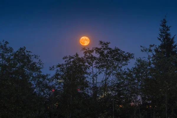 밴쿠버의 하늘에 초승달의 — 스톡 사진