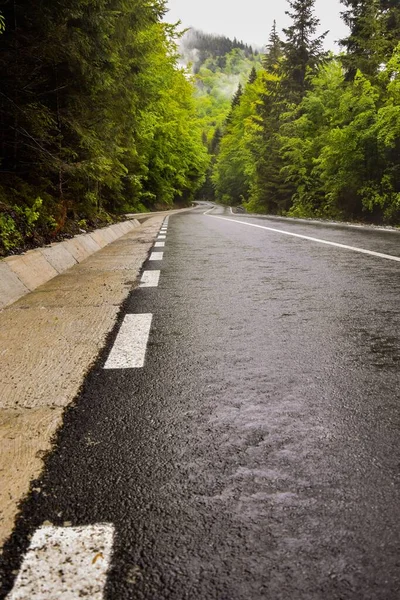 Een Geasfalteerde Prachtige Snelweg Capatyan Bergen Roemenië — Stockfoto