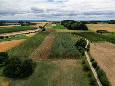 Gündüz gözüyle tarımın göz kamaştırıcı manzarası.
