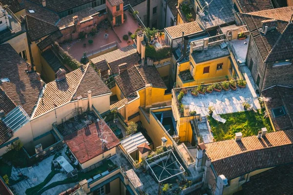 Bird Eye View Colorful Rooftops Bologna Italy Morning Sun — стоковое фото