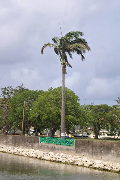 Fotografie Dokončené Constitution River Bridgetownu Barbados — Stock fotografie
