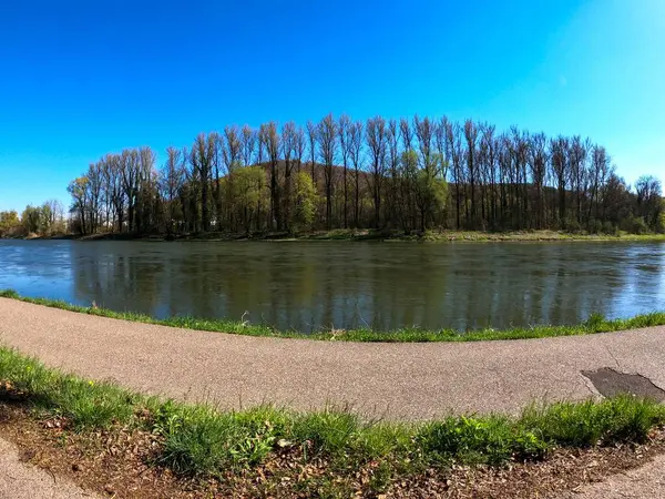 Una Splendida Vista Sul Paesaggio Con Fiume Calmo Circondato Alberi — Foto Stock