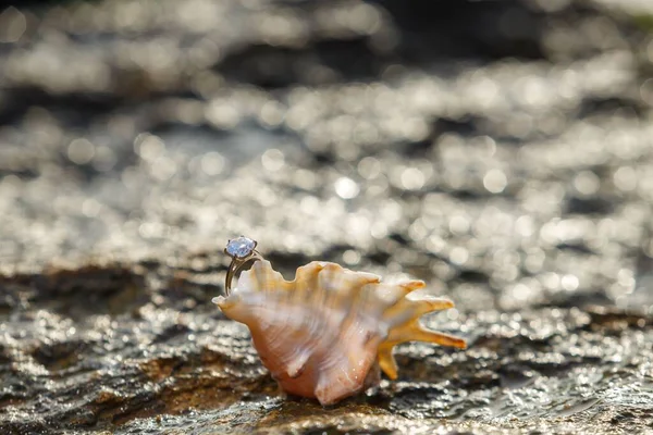 Płytkie Ogniskowe Ujęcie Zaręczynowego Pierścionka Morskiej Powłoce Plaży Bokeh Tle — Zdjęcie stockowe