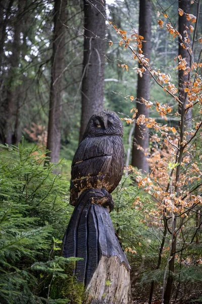 Vertical Closeup Shot Wooden Owl Figure Green Botanical Garden Tall — Stock Photo, Image