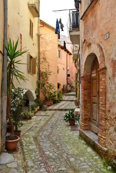 Vertical View Old Narrow Street Monte San Biagio Sunny Day — Stock Photo, Image