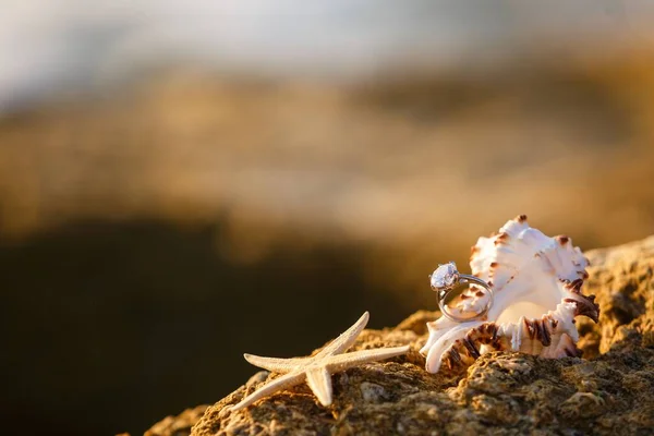 Deniz Kabuğunda Bir Nişan Yüzüğü Sahilde Deniz Yıldızının Yanında — Stok fotoğraf