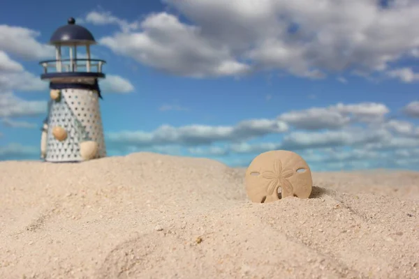 暗い灯台の背景のビーチで砂の中のシェルのクローズアップショット — ストック写真