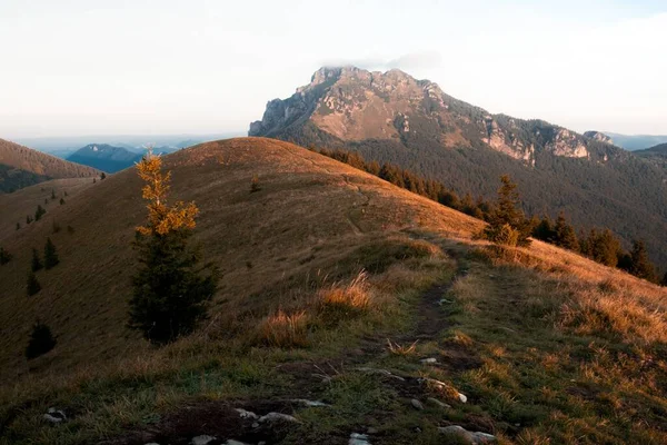 Uitzicht Het Beboste Berglandschap Het Gouden Uur — Stockfoto