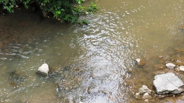 Huntington, CA, ABD 'deki ormanda akan güzel bir gölün yakın çekimi.