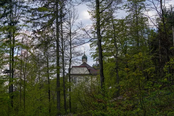 Kościół Otoczony Zielonymi Drzewami Lesie — Zdjęcie stockowe