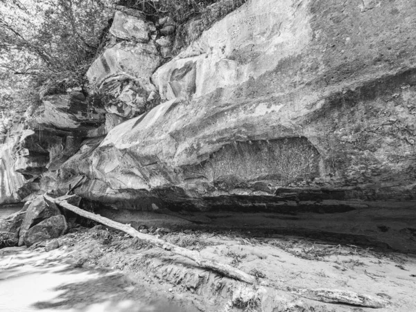 農村部の森の中の巨大な岩の黒と白のショット — ストック写真