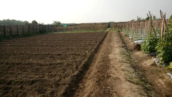 Die Bodenbearbeitung Landwirtschaftlichen Anbauflächen — Stockfoto