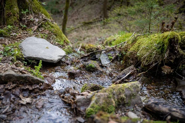 森の苔で覆われた石の間の小さな小川のクローズアップショット — ストック写真